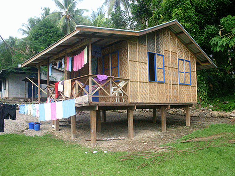 architecture_bambou_bamboo_construction_building_moso_guyane_guyana